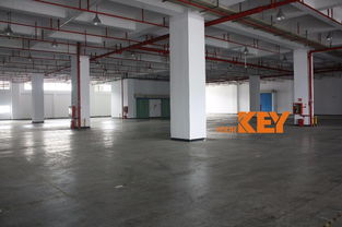 深圳盐田保税区 专业仓储物流一站式解决方案